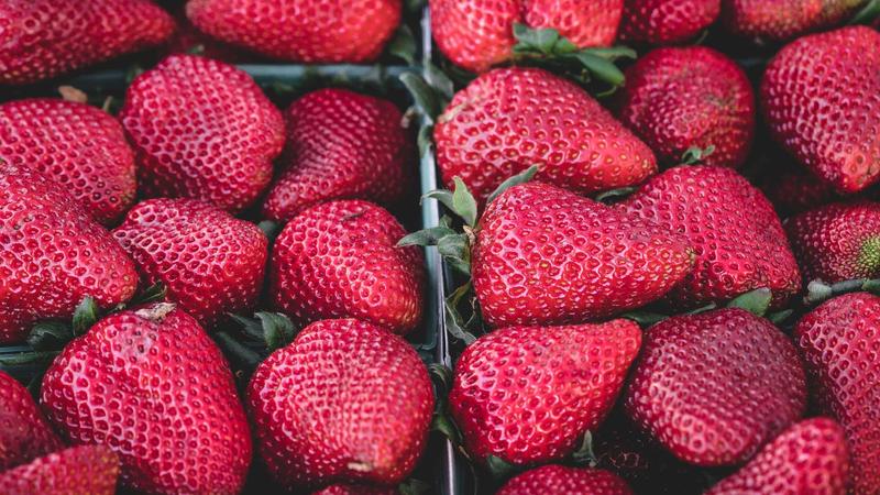 pg娱乐游戏特性展示